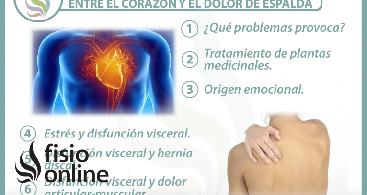 6 claves para entender la relación entre el corazón y el dolor de espalda 6 claves para entender la relación entre el corazón y el dolor de espalda