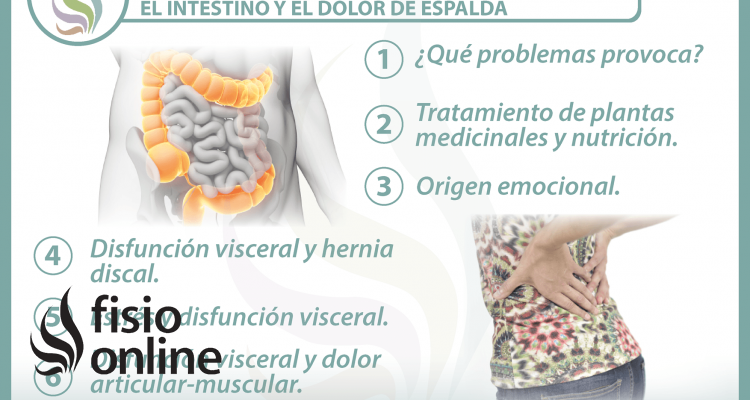  6 claves para entender la relación  entre el intestino  y el dolor de espalda