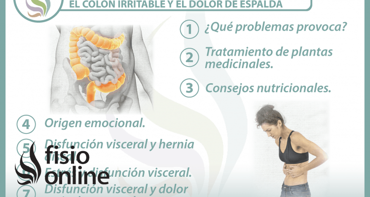 7 claves para entender la relación  entre el colon irritable y el dolor de espalda