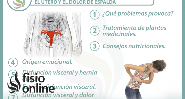  7 claves para entender la relación  entre el útero y el dolor de espalda