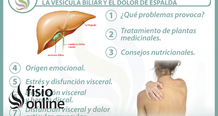 7 claves para entender la relación  entre la vesícula biliar y el dolor de espalda