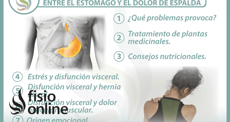 7 claves para entender la relación  entre el estómago y el dolor de espalda