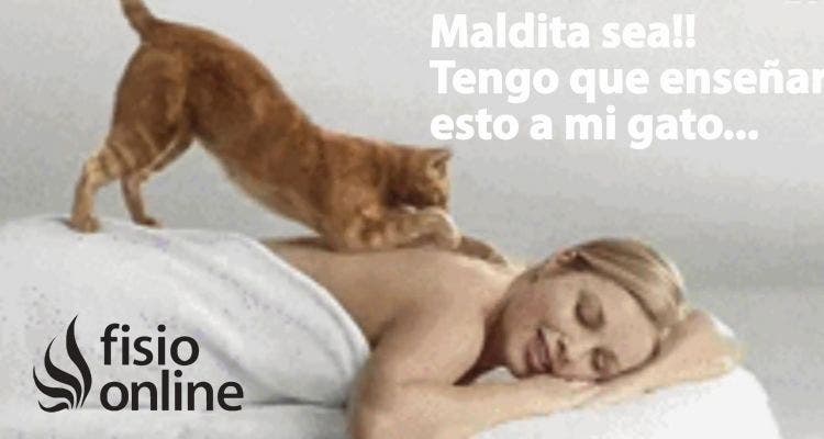 ¡Maldita sea! ¡Tengo que enseñar a hacer esto a mi gato!