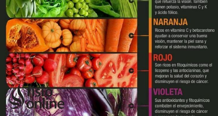 El arcoiris vegetal El arcoiris vegetal