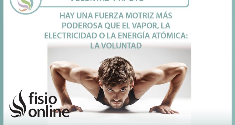 Voluntad y apoyo Voluntad y apoyo