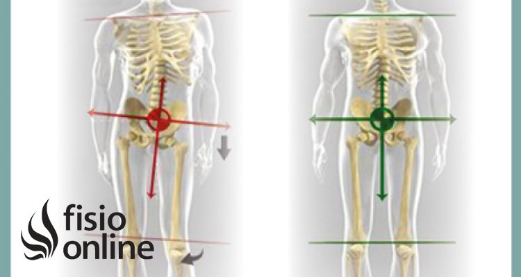 Equilibrio postural y disfunciones articulares o como las postura afecta a nuestro organismo