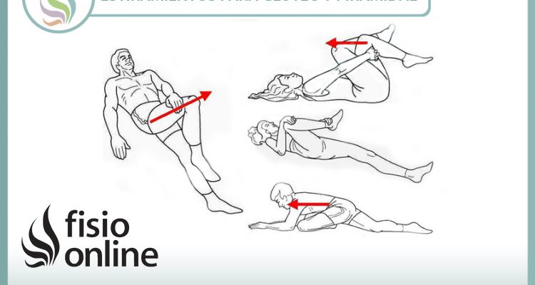 Combate tu dolor lumbar o lumbalgia estirando los glúteos y el músculo piramidal
