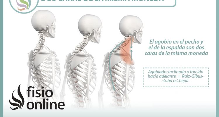 La postura corporal y los estados emocionales son... dos expresiones de la misma cosa