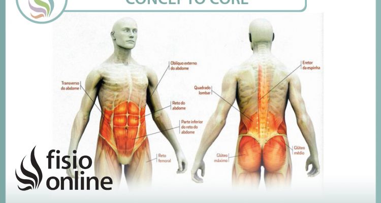 Concepto CORE. ¿Qué nos aporta?¿Cómo nos ayuda a fortalecer la musculatura de la faja abdominal y estabilizadora lumbar?