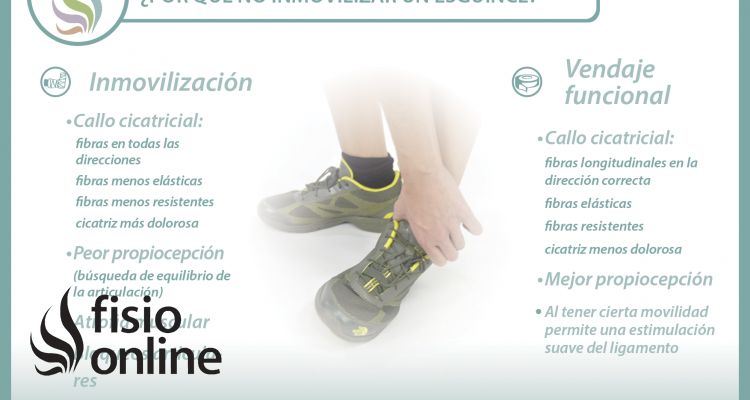 Esguince, por qué no inmovilizar Esguince, por qué no inmovilizar