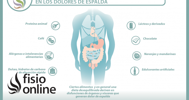 Como te alimentas y como te sientes está muy relacionado, 31 reveladores vídeos sobre alimentación y dolor