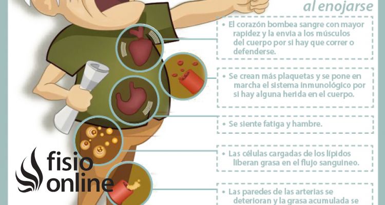 Efectos y consecuencias del enfado y el estrés sobre el organismo