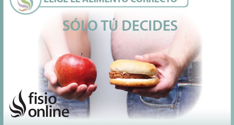 Elige el alimento correcto