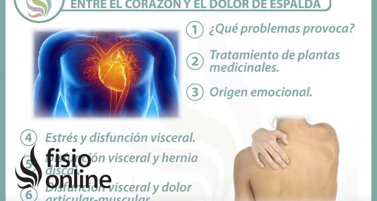  6 claves para entender la relación  entre el corazón y el dolor de espalda