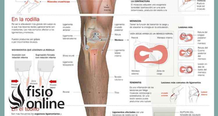 Las lesiones del futbolista, aprende cuáles son y cómo tratarlas