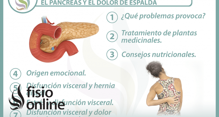  7 claves para entender la relación  entre el páncreas y el dolor de espalda