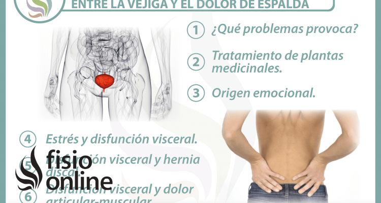  6 claves para entender la relación  entre la vejiga y el dolor de espalda