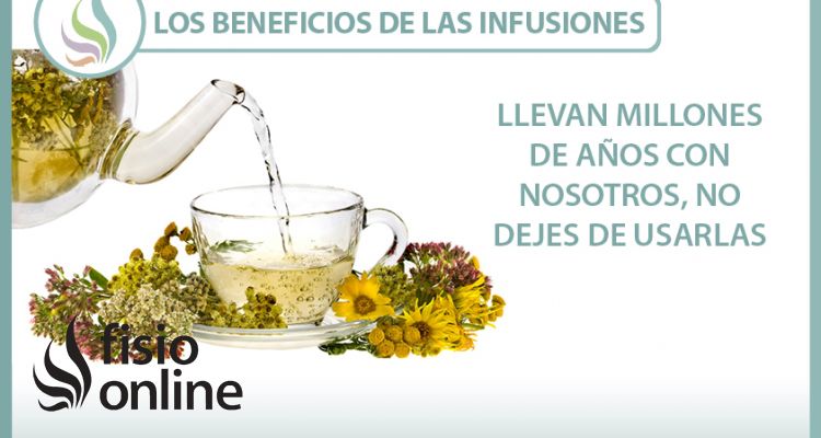 Los beneficios de las infusiones