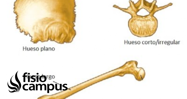 Huesos irregulares