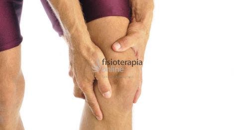 www.fisioterapia-online.com