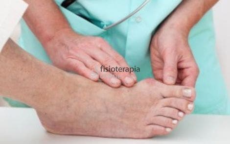 ¿Cómo se llaman los dedos de los pies?