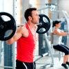 Los músculos o grupos musculares más importantes a la hora de entrenar la fuerza