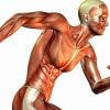 Análisis de la postura corporal a través de las cadenas GDS y su uso en fisioterapia