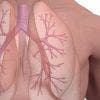 ¿Qué son los Volúmenes pulmonares?