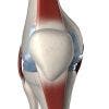 Lo que necesitas saber sobre la tendinitis rotuliana