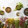 Fitoterapia en el Tratamiento del Dolor Musculoesquelético: ¿Qué Plantas Medicinales Ayudan?