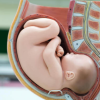 5 Curiosidades que no sabías sobre el parto, los que ocurre en el cuerpo de la mujer, la capacidad que tiene el cuerpo y a lo que se esta expuesta.