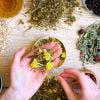 Fitoterapia para el dolor muscular y articular: plantas medicinales en el tratamiento de lesiones