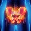 6 Curiosidades que no sabías sobre la pelvis, su anatomía y su funcionamiento