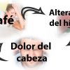 El café y el dolor de cabeza 