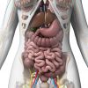 Las emociones repercuten sobre nuestra salud (3ª parte): Ansiedad preocupación