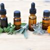 Fitoterapia para el dolor musculoesquelético: plantas medicinales con efecto antiinflamatorio