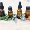 Fitoterapia para el dolor musculoesquelético: plantas medicinales con efecto antiinflamatorio