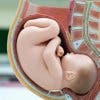 8 Curiosidades que no sabías sobre el embarazo, los que ocurre en el cuerpo de la mujer, la capacidad que tiene el cuerpo y a lo que se esta expuesta.