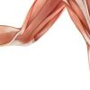 Lesiones en el deporte: Periostitis Tibial