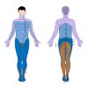 ¿Qué es la Dermo-Neuro-Modulación y cuáles son sus beneficios?
