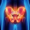 6 Curiosidades que no sabías sobre la pelvis, su anatomía y su funcionamiento