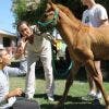 Equinoterapia: Los caballos mejoran tu salud