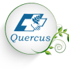 QUERCUS - Fisioterapia y osteopatía