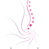 Alenda Fisioterapia y Osteopatía