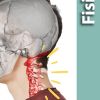 Los 3 MEJORES EJERCICIOS para la RECTIFICACIÓN CERVICAL