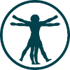 Funcionamiento básico del cuerpo