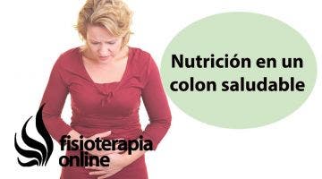 Importancia nutrición en un colon saludable, colon irritable