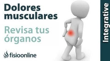 ¿Tienes un dolor que no se resuelve? Revisa tus órganos