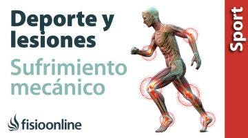 Deporte, sufrimiento mecánico y lesiones deportivas