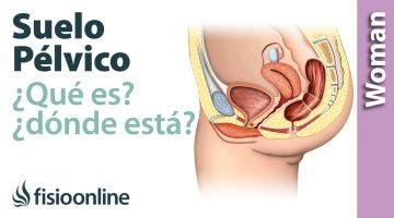 ¿Qué es el suelo pélvico y dónde esta?